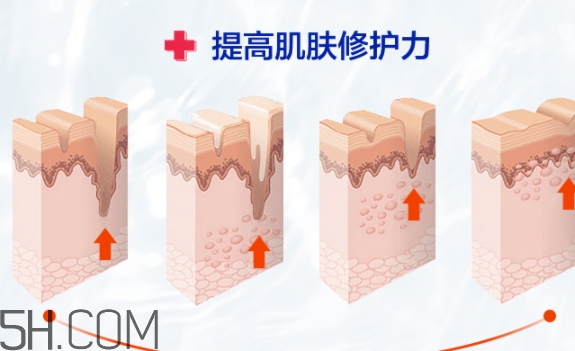 麗普司肽凍干粉怎么樣 麗普司肽凍干粉騙局嗎 麗普司肽凍干粉怎么樣 麗普司肽凍干粉騙局嗎