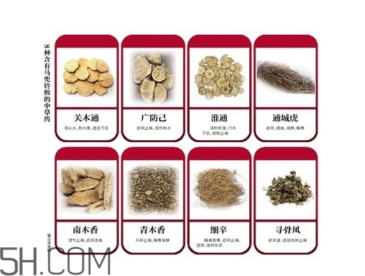 含馬兜鈴酸的藥都不能吃嗎？馬兜鈴酸真的會致癌嗎