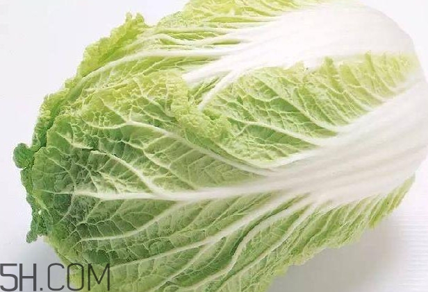 大白菜什么時候種最合適？大白菜怎么做好吃