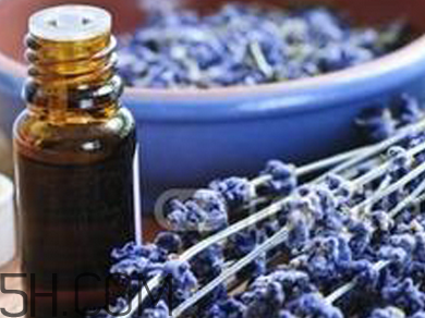如何用精油護(hù)發(fā)？薰衣草精油護(hù)發(fā)怎么用？
