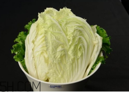 大白菜起源是哪里？大白菜產(chǎn)地分布有哪些