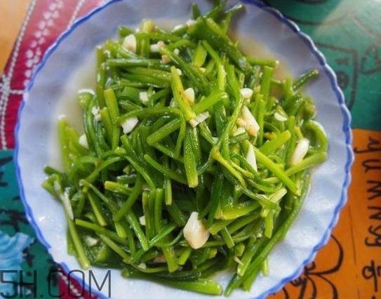 麗江水性楊花是什么菜？水性楊花菜怎么做？