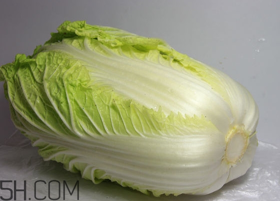 大白菜怎么保存？大白菜怎么做泡菜