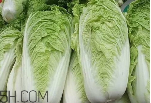 大白菜什么時候種最合適？大白菜怎么做好吃