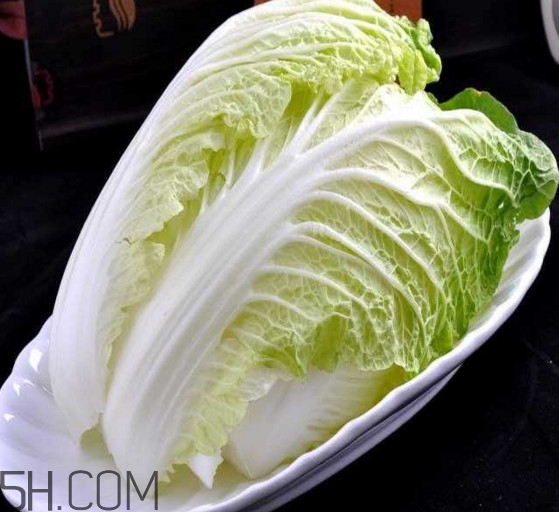 大白菜起源是哪里？大白菜產(chǎn)地分布有哪些