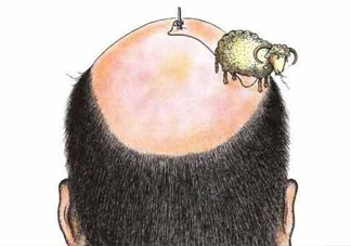 禿頂了還能長出頭發(fā)嗎？禿頂和性欲太強是不是有關(guān)