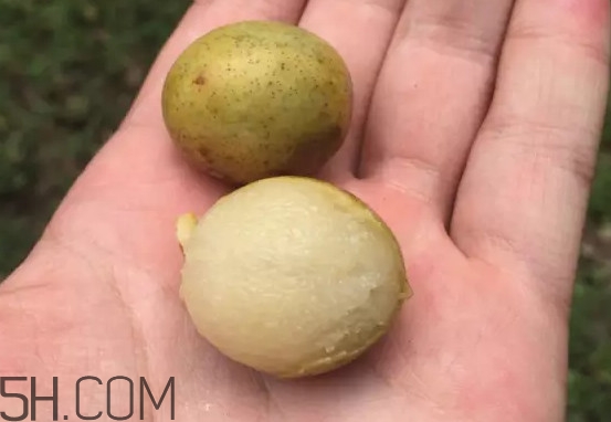 南酸棗怎么吃？南酸棗的作用與功效