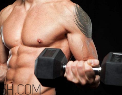 啞鈴彎舉和杠鈴彎舉哪個好？啞鈴彎舉和杠鈴彎舉區(qū)別