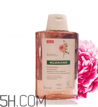 蔻蘿蘭洗發(fā)水防脫嗎？生姜洗發(fā)水真能防脫發(fā)嗎？