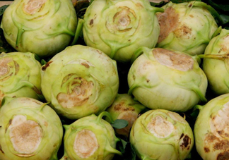 大頭菜是發(fā)物嗎？大頭菜是卷心菜嗎