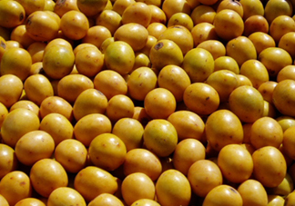 南酸棗是棗嗎？南酸棗的核如何做手串