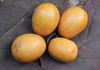 南酸棗怎么吃？南酸棗的作用與功效