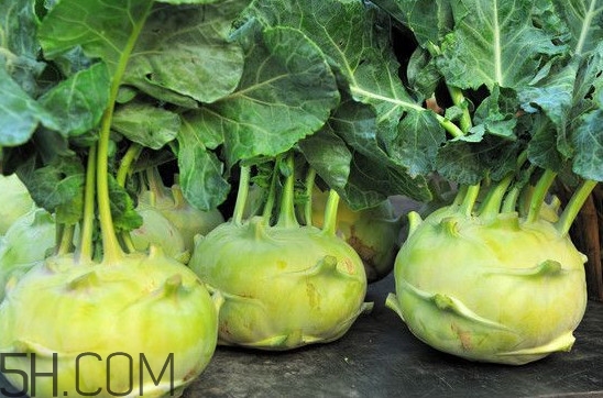 大頭菜營養(yǎng)價值有哪些？大頭菜什么時候種植