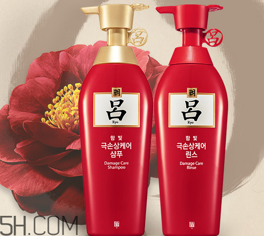 呂洗發(fā)水功效以及適用人群 韓國呂洗發(fā)水真假圖對(duì)比 呂洗發(fā)水功效以及適用人群 韓國呂洗發(fā)水真假圖對(duì)比