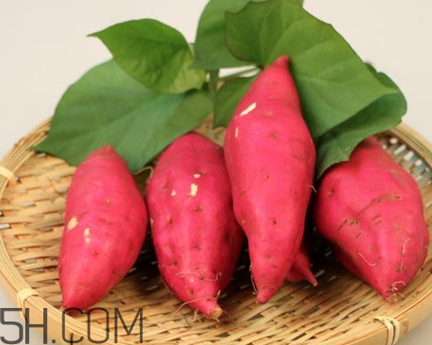 紅薯多少錢一斤 紅薯市場(chǎng)怎么樣