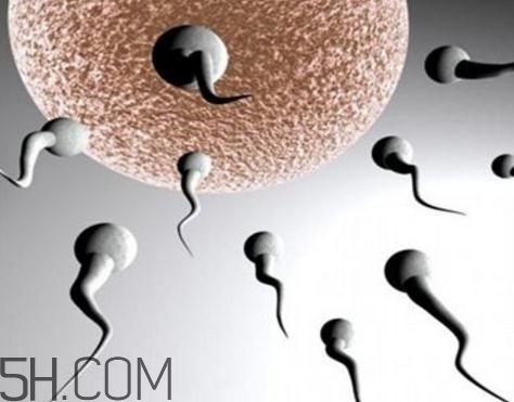 弱精癥可以治愈嗎？弱精癥吃什么藥好得快？