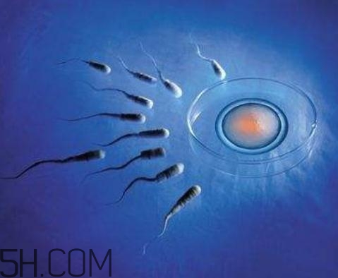 弱精癥能做試管嬰兒?jiǎn)?？弱精癥可以人工受精嗎？