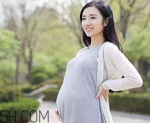 懷孕了可以吃可樂雞翅嗎？可樂雞翅什么人不能吃