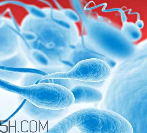 無精癥能射精嗎？無精癥能勃起嗎？