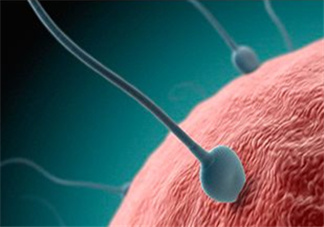 無精癥吃什么可以生精？無精癥吃生精片管用嗎？