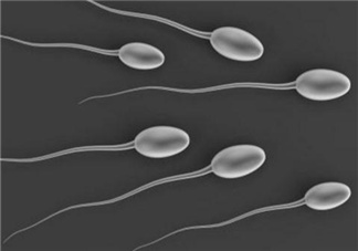 弱精癥可以治愈嗎？弱精癥吃什么藥好得快？