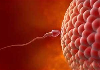 無精癥射出來什么癥狀？無精癥射出來什么顏色？