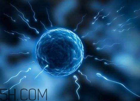 無精癥是先天的嗎？無精癥會遺傳嗎？