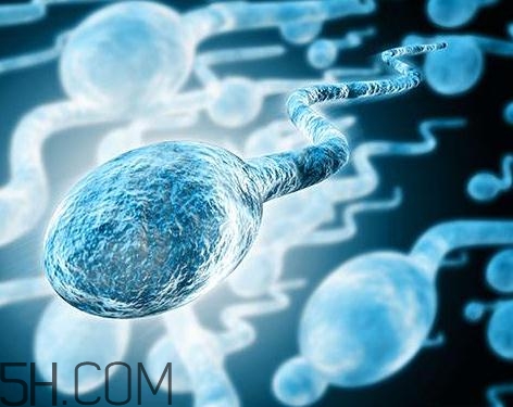 先天性無精癥怎么辦？先天性無精癥能治好嗎？