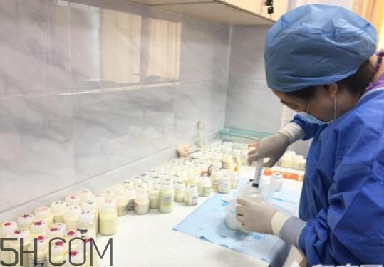 人乳庫(kù)是什么？為什么成立人乳庫(kù)