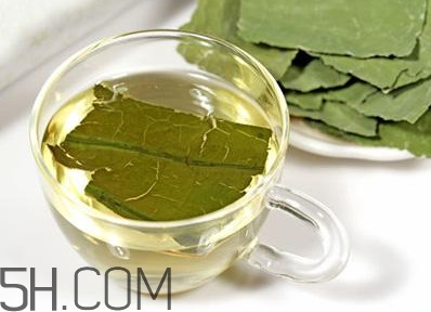 荷葉茶大概哪里有賣？荷葉茶副作用有哪些