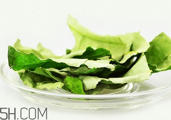 荷葉茶一次泡多少？荷葉茶可以泡幾次