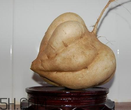 白地瓜怎么存放 白地瓜能放多久 白地瓜怎么存放 白地瓜能放多久