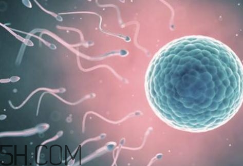 少精癥是怎么引起的？少精癥是不是不能自愈？