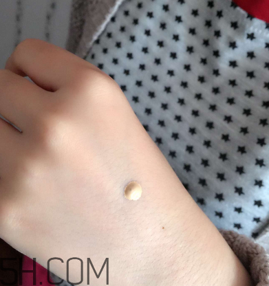 芭比波朗重蟲草粉底液色號 bobbi brown蟲草粉底液評測 芭比波朗重蟲草粉底液色號 bobbi brown蟲草粉底液評測