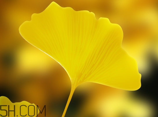 銀杏葉片能治耳鳴嗎？銀杏葉片可以降血脂嗎