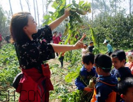 秋后拔蘿卜再硬也要碰是什么意思？