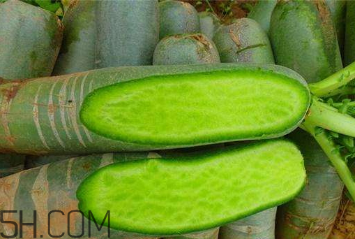 青蘿卜什么時(shí)候收獲 青蘿卜什么時(shí)候上市 青蘿卜什么時(shí)候收獲 青蘿卜什么時(shí)候上市