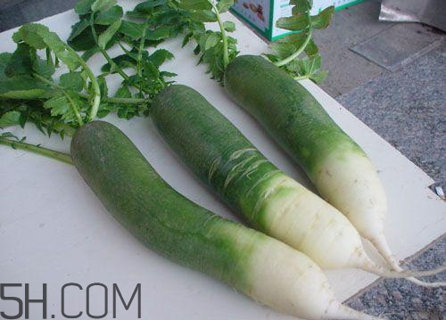 青蘿卜什么時(shí)候收獲 青蘿卜什么時(shí)候上市 青蘿卜什么時(shí)候收獲 青蘿卜什么時(shí)候上市