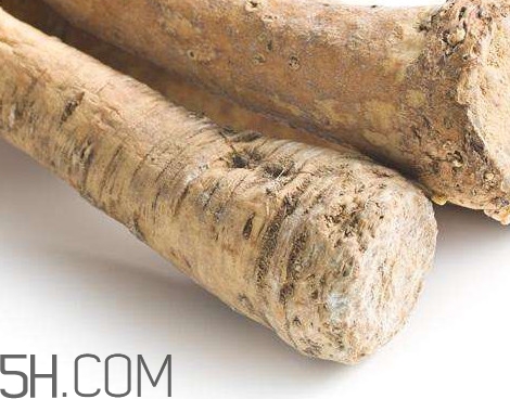 芥末是辣根嗎？辣根和芥末的區(qū)別