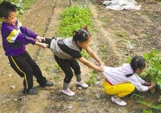 秋后拔蘿卜再硬也要碰是什么意思？