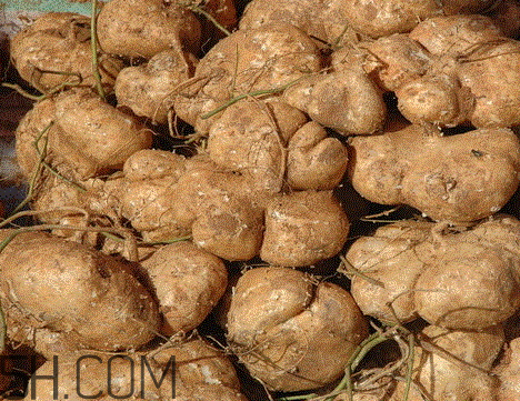 土瓜是涼性還是熱性 土瓜是發(fā)物嗎 土瓜是涼性還是熱性 土瓜是發(fā)物嗎