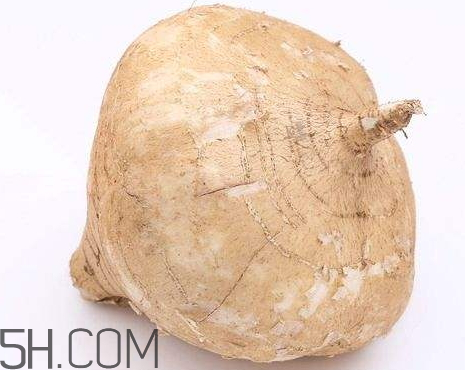 土瓜是涼性還是熱性 土瓜是發(fā)物嗎 土瓜是涼性還是熱性 土瓜是發(fā)物嗎