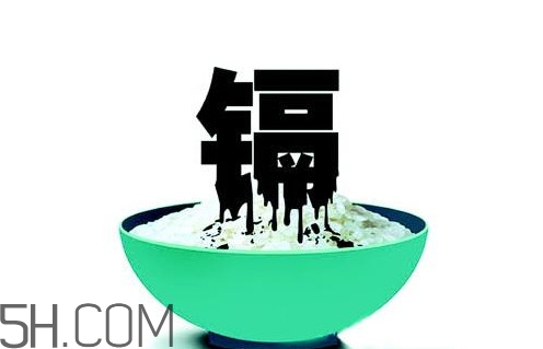 鎘污染會導(dǎo)致什么??？江西大米為何會鎘污染