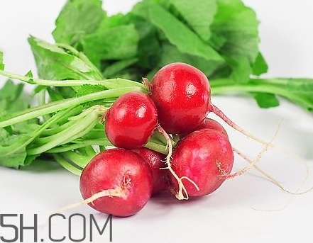 水蘿卜不能和什么一起吃 水蘿卜和什么相克 水蘿卜不能和什么一起吃 水蘿卜和什么相克