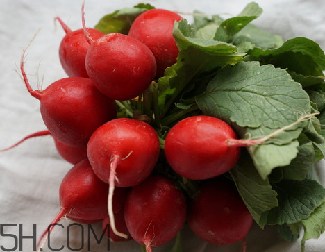 紅蘿卜是堿性還是酸性 紅蘿卜是發(fā)物嗎 紅蘿卜是堿性還是酸性 紅蘿卜是發(fā)物嗎