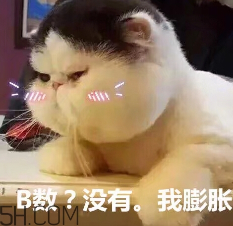 b數沒有我膨脹什么意思？b數沒有我膨脹表情包