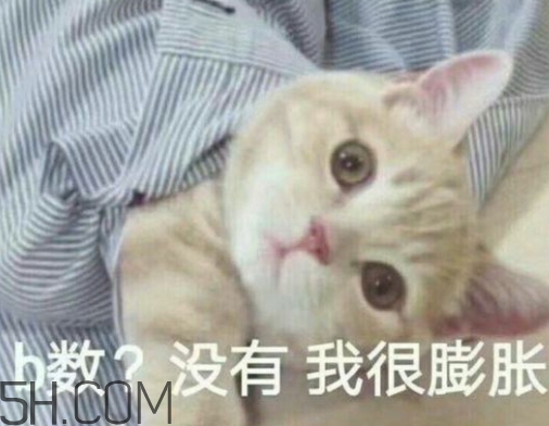 b數沒有我膨脹什么意思？b數沒有我膨脹表情包