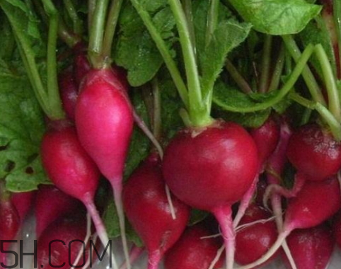 青蘿卜和西紅柿能一起吃嗎 紅蘿卜和西紅柿能一起吃嗎 青蘿卜和西紅柿能一起吃嗎 紅蘿卜和西紅柿能一起吃嗎