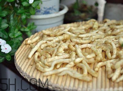 姜芽能吃嗎？姜芽怎么吃