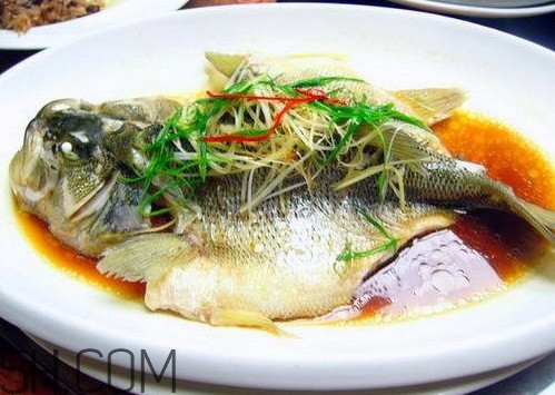 松江鱸魚怎么做？松江鱸魚養(yǎng)殖技術(shù)